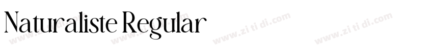 Naturaliste Regular字体转换 Naturaliste Regular字体转换